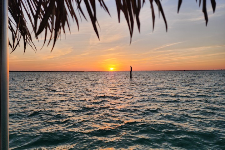 Sunset over a calm ocean with silhouetted palm leaves in the foreground.
