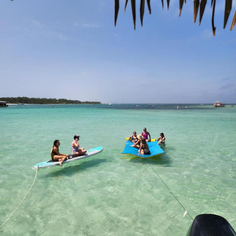 People relaxing on paddleboards and a mat on calm, clear sea under palm leaves.