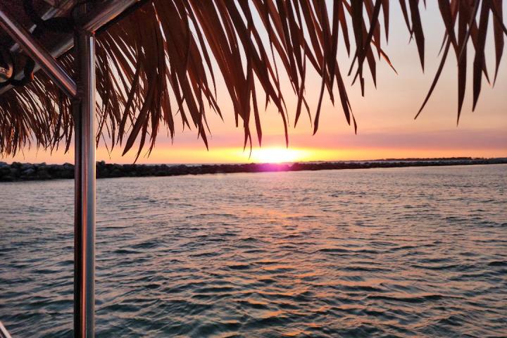 Sunset over water, viewed through palm leaves with metal pole on the left.